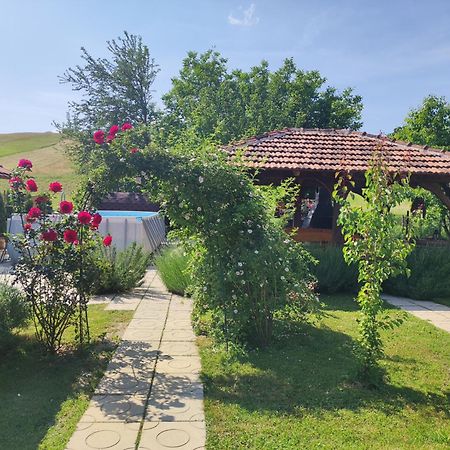 Pod Orehom Drvena Kuca I Sauna Крапина Екстериор снимка
