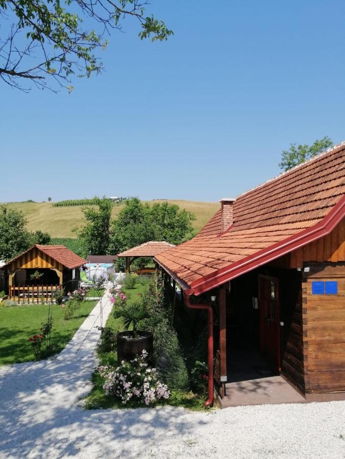 Pod Orehom Drvena Kuca I Sauna Hotel Крапина Екстериор снимка